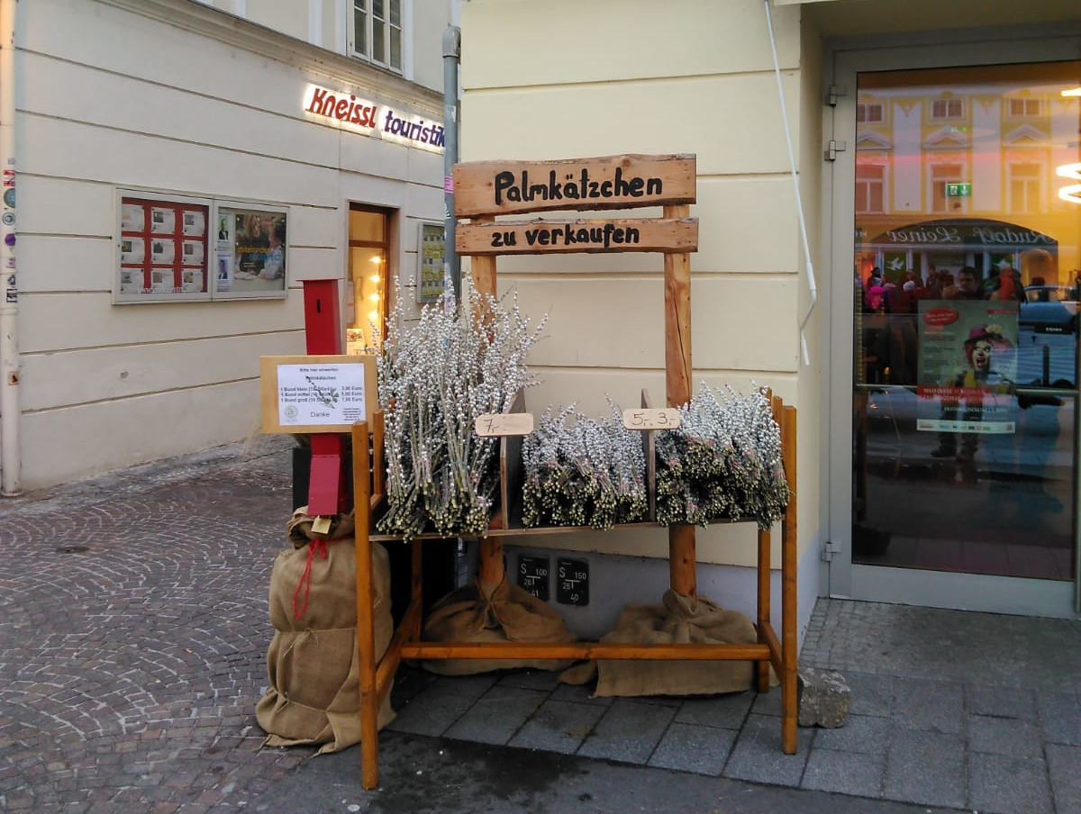 Palmkätzchen